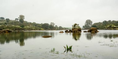 Extremadura otlağındaki Los Barruecos 'un Garnitica bölgesi