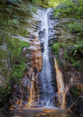 Taşlar ve yapraklarla dolu bir derede şelale.