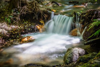 Bir derede küçük bir şelale