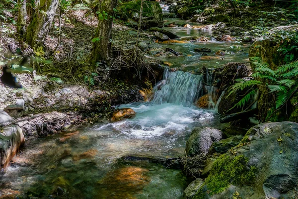 Bir derede küçük bir şelale