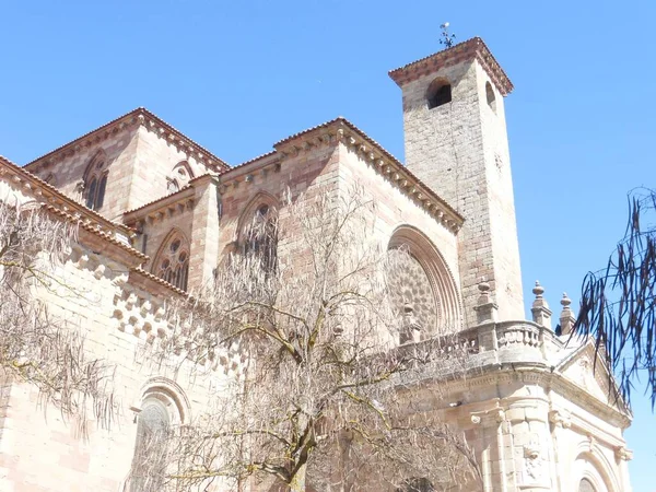 Siguenza Nin Santa Maria Katedrali Gadalajara Spain — Stok fotoğraf