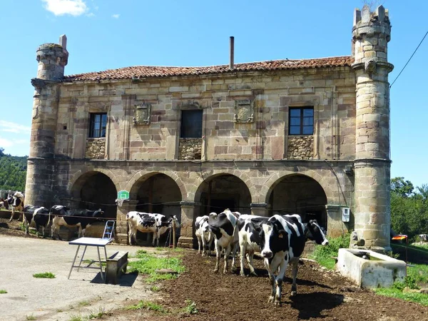Antiguo Palacio Los Ceballos Argomilla Cantabria Utilizado Como Vaqueria — 图库照片