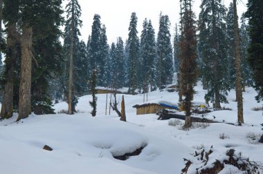 Himalaya mountain at Kashmir. Snow village at Gulmarg in India. Landscape of beautiful nature of Himalaya mountain at sky.