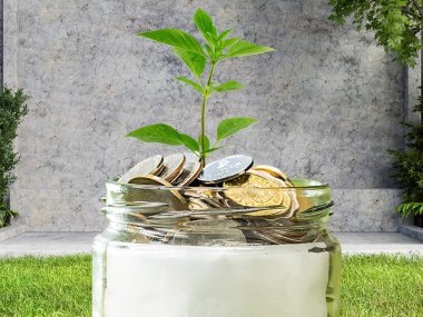 Sikkeler cam kavanozun üzerinde duruyor ve tohumlar en üstte büyüyor, yatırım, ticaret ve iş fikri.