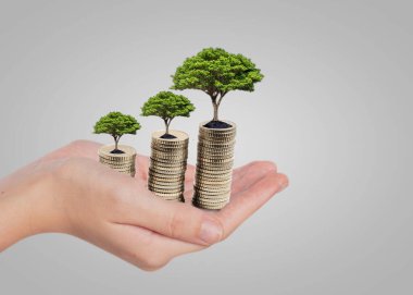 Bozuk paralar elde duruyor ve tohumlar en üstte büyüyor, yatırım, ticaret ve iş fikri.