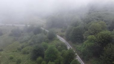 Ormanda, dağlarda, yolda giden araba.