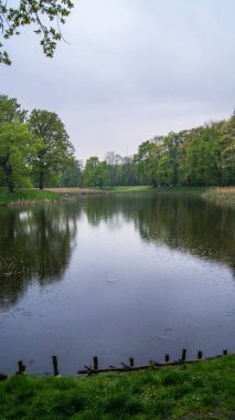 Lake in the polish park