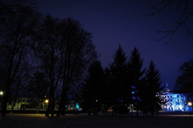 Walk around the snowy park at night.