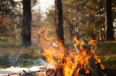 Making bonfire in the woods outside the town.