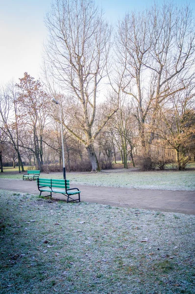 Early morning in the frosty park