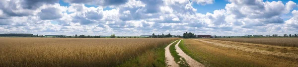 Panorama Wheat Beautiful Cloudy Day — Stockfoto