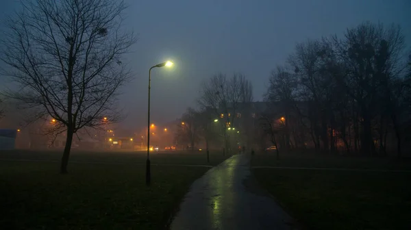 Night Polish Park — Stock Fotó