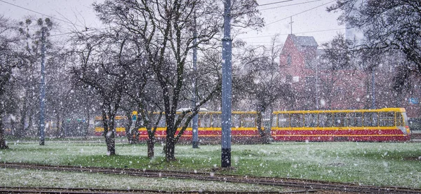 Tram in Polish park in snow