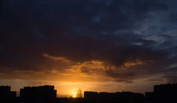 Early Morning Summer — Stock Photo, Image