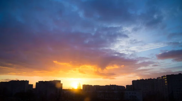 Early morning in the summer