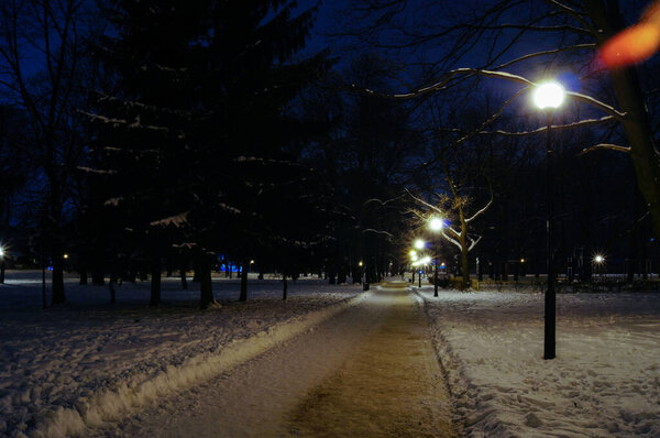 Walk around the snowy park at night.