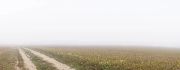 Early Morning Field Rural Ukraine — Stockfoto