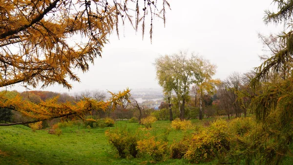 Autumn Panorama Kyiv Park — Stockfoto