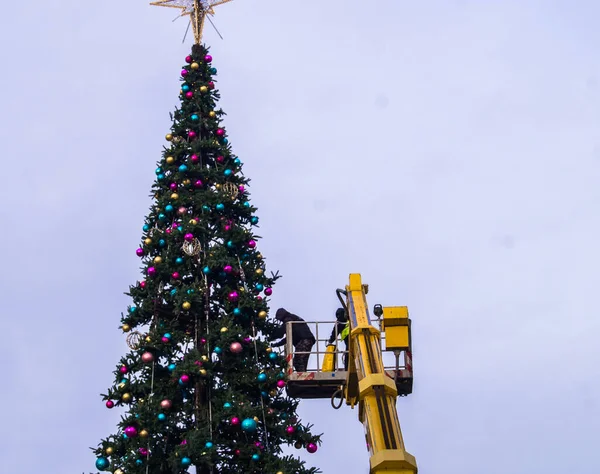 Christmas Tree Being Assembled Person lizenzfreie Stockbilder