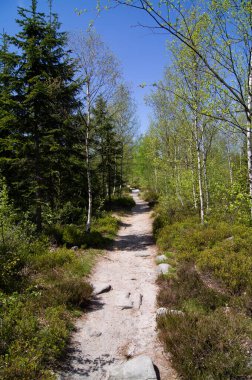 A path on a hiking trail in Adrspach national park in Czech Republik. 