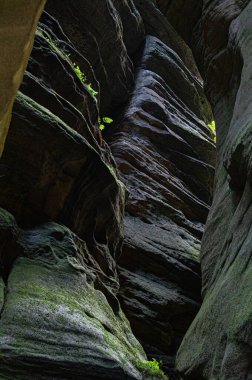 A very narrow path of the trail in depth of Adrspach sandstone park.