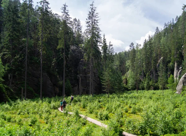 Wooden Path Hiking Trail Adrspach National Park Czech Republik — Fotografia de Stock