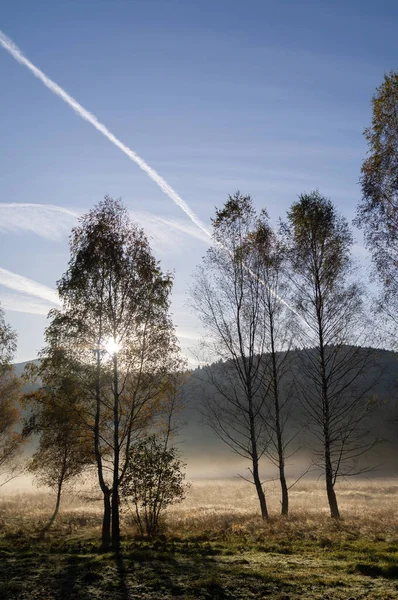 Early Morning Rural Poland Morning Fog Autumn — Stockfoto