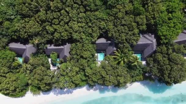 Aerial View Beautiful Maldives Island Beach Villa Bungalows Resort Top — ストック動画