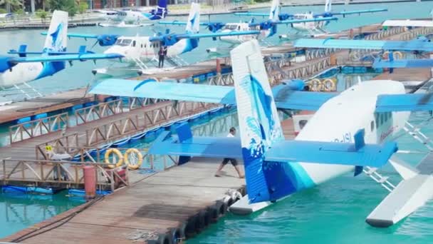 Male Maldives December 2021 Pilot Gets Seaplane Maldivian Seaplane Terminal — Video Stock