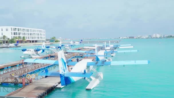 Male Maldives December 2021 Seaplanes Parked Line Ready Maldivian Seaplane — Vídeo de Stock