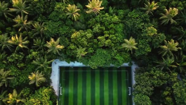 Soccer Field Tropical Forest Aerial Top Shot Palm Trees Soccer — Stock video
