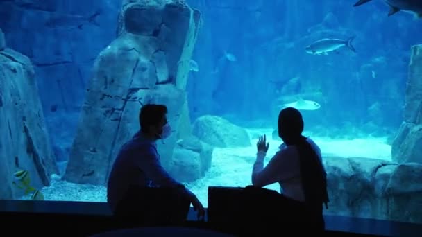 Silhouette Couple Man Mask Muslim Woman Looks Fish Aquarium Istanbul — Stockvideo