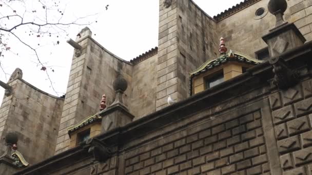 Seagull Stone Wall Castle Barcelona Spain High Quality Footage — Video