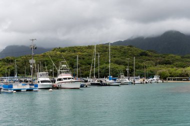 Okyanusa bakan bulutlu bir günde Hawaii Balıkçılık İskelesi.