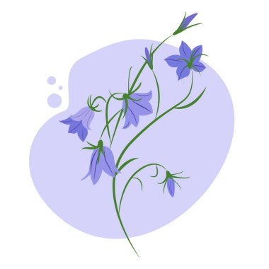 Çiçekle soyut bir arkaplan. Bitki. Arkaplan, poster, afiş. Vektör illüstrasyonu.