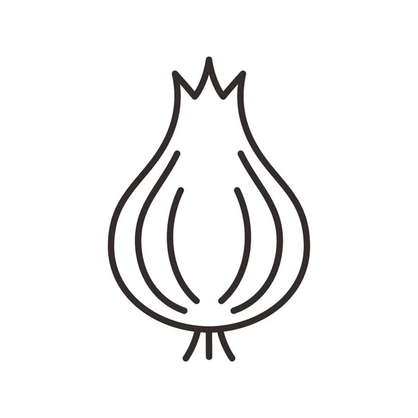 Onion Vector Thin Line Icon — Stockvektor
