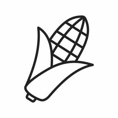 corn vector thin line icon