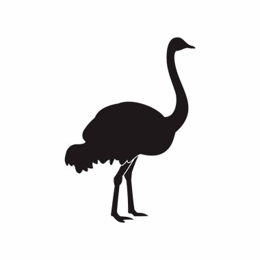 vector illustration of ostrich and its silhouette. isolated on white background.