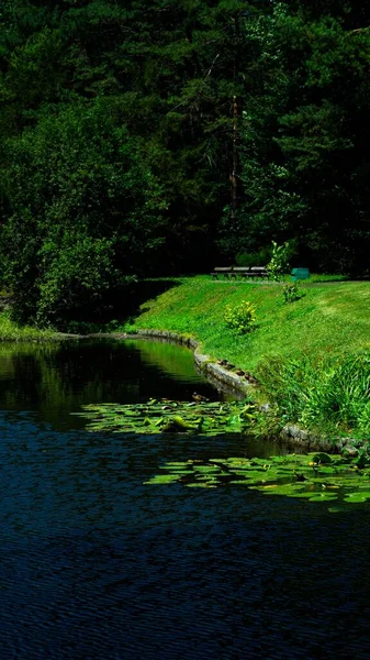 landscape with a lake in Sofiyivka Park