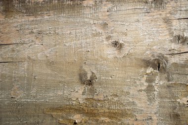 Tree structure in section, background