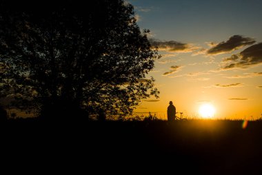 Bir bisikletçi, gün batımının güzel bir konturunun arka planına karşı bir tarlada yol alır. Güzel gün batımı. Doğanın fotoğrafı. Hız teması.