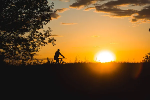Велосипедист Проезжает Полю Фоне Красивого Контурного Солнечного Света Прекрасный Закат — стоковое фото