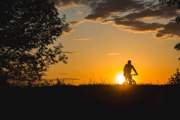 Cyclist Rides Field Backdrop Beautiful Contour Sunset Light Beautiful Sunset — Zdjęcie stockowe