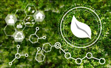 Biyokütlenin dengeli kullanımı, doğayı, doğa koruma kavramını korumak için biyokütle ve kimya kullanımı