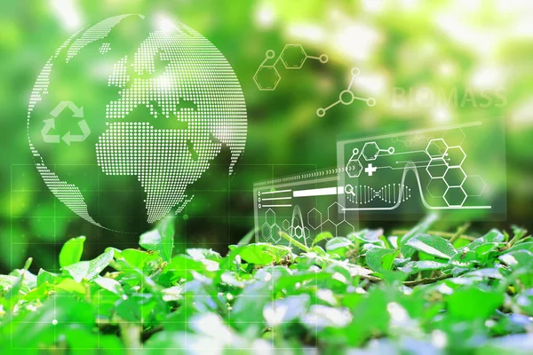 Zrównoważone Wykorzystanie Biomasy Wykorzystanie Biomasy Chemii Ochrony Przyrody Koncepcja Ochrony — Zdjęcie stockowe