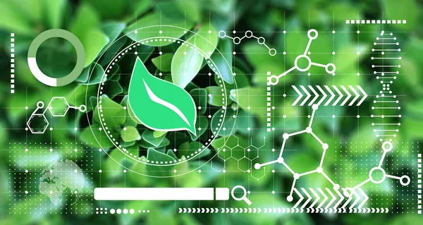 Wykorzystanie Biomasy Chemii Ochrony Przyrody Koncepcja Ochrony Przyrody Zrównoważone Wykorzystanie — Zdjęcie stockowe