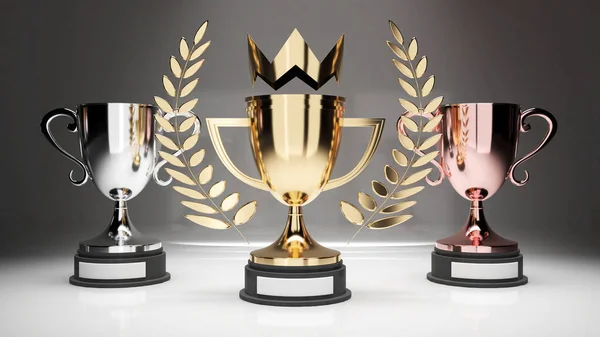 Gold Trophy 1St Place 2Nd Place Got Silver Trophy 3Rd – stockfoto