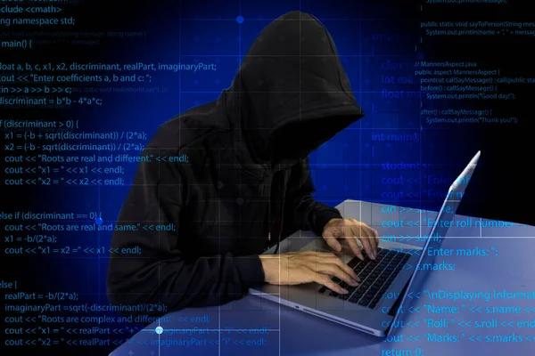 시스템의 보안을 디지털 도둑의 위험성 — 스톡 사진