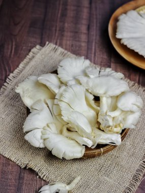 Jamur Tiram ya da istiridye mantarları genel karakteristikleri arasında beyaz, kremsi meyve gövdesi ve istiridye kabuğuna benzer yarı dairesel bir kaput bulunur.