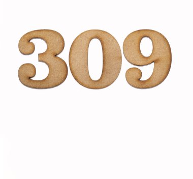 309 numara - Beyaz arkaplanda izole edilmiş bir tahta parçası